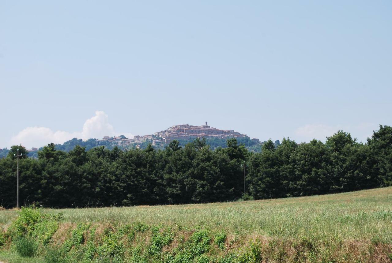 Casa Bartali Villa Chiusdino Kültér fotó
